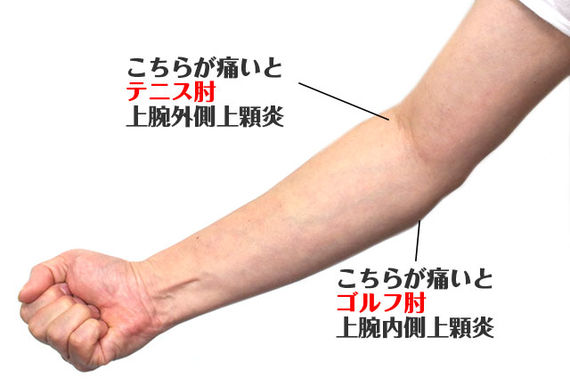 サンプル